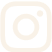 Footer social badge