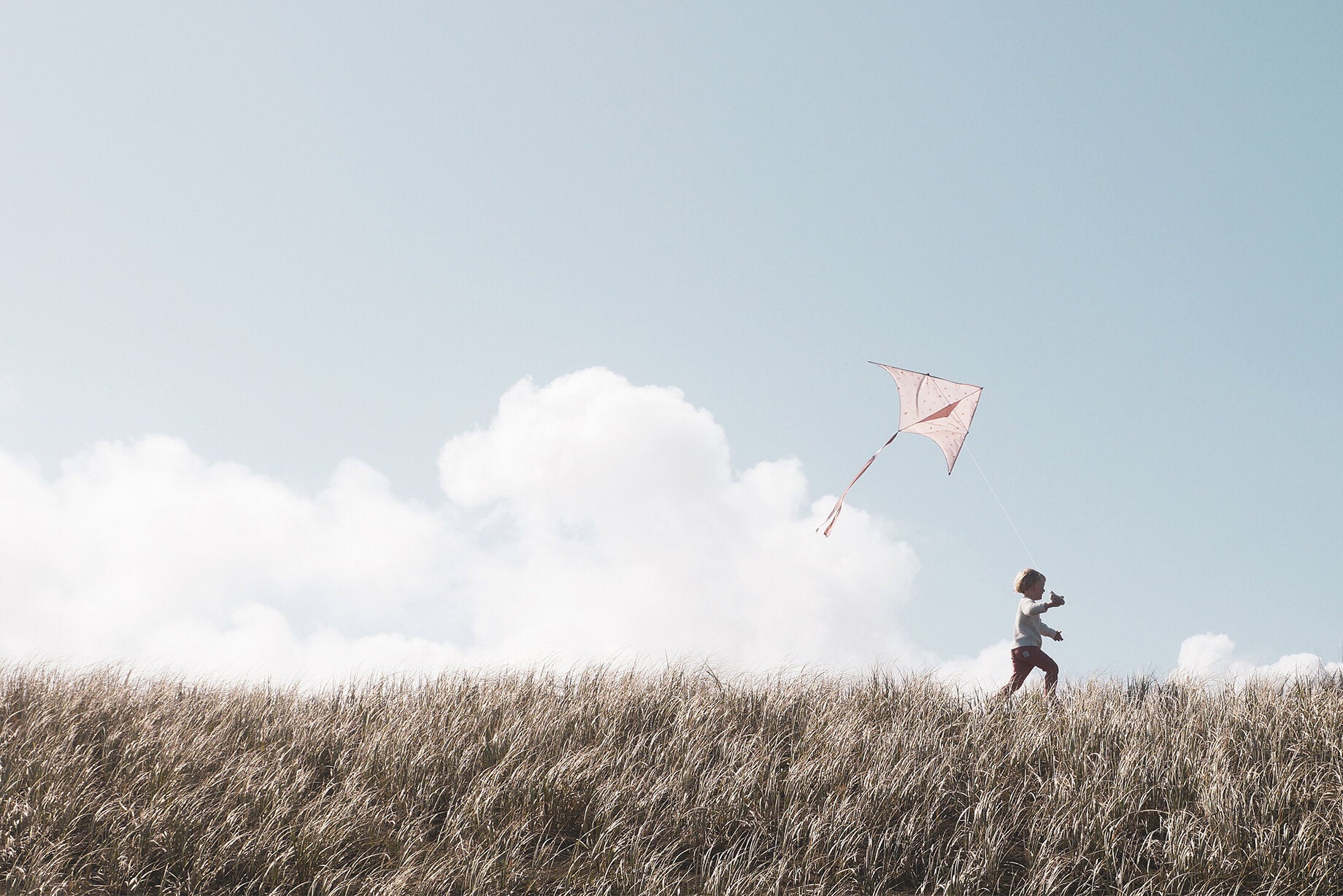 Lofty Kites New Zealand