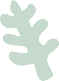 Fern left