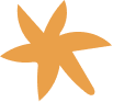 Star icon orange